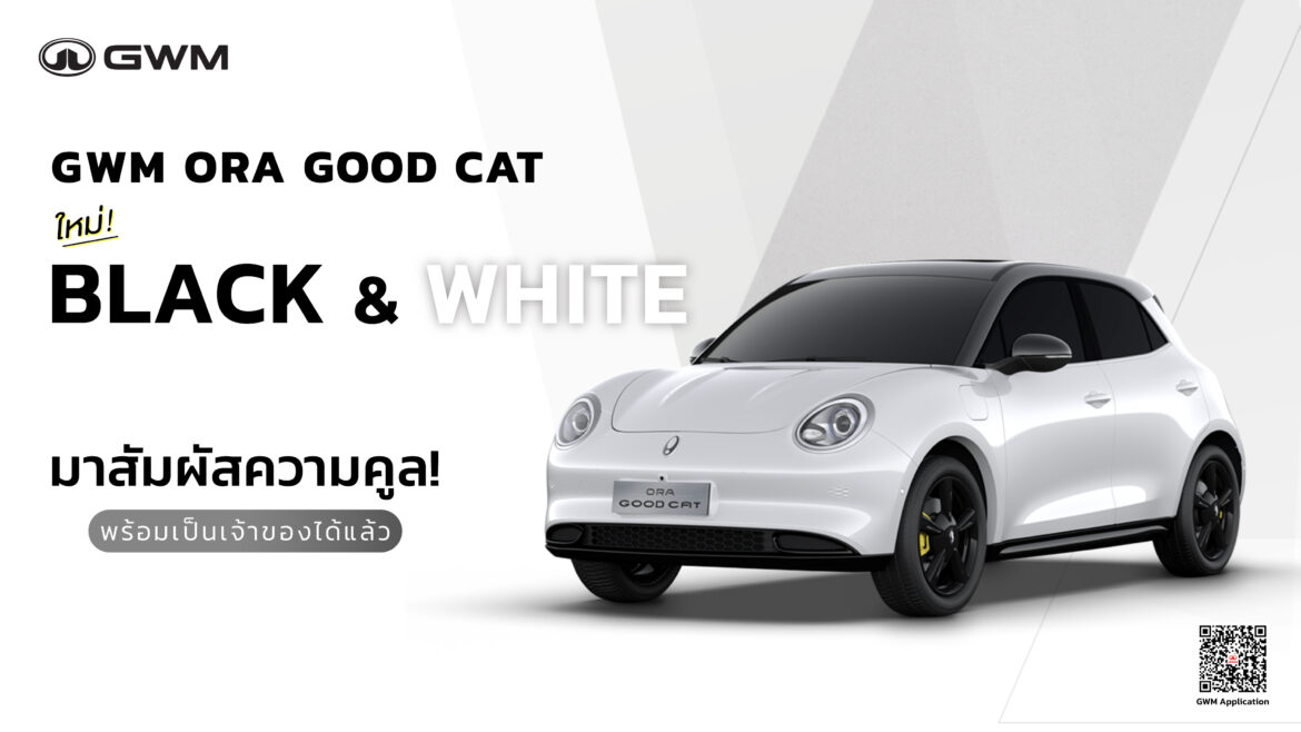 000_GWM ORA Good Cat in Hamilton White with Black Roof & Black Package